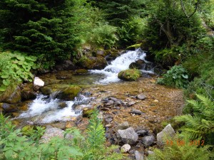 DSCN2038