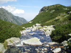 IMGP1453