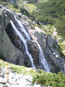 IMGP1456